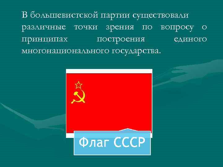 В большевистской партии существовали различные точки зрения по вопросу о принципах построения единого многонационального