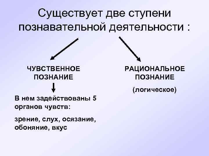 Познание рациональное познание презентация