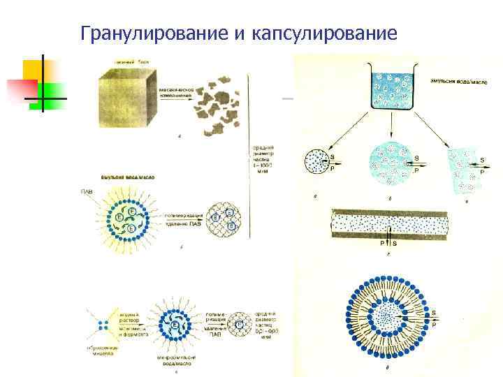 Инженерная энзимология биотехнология презентация