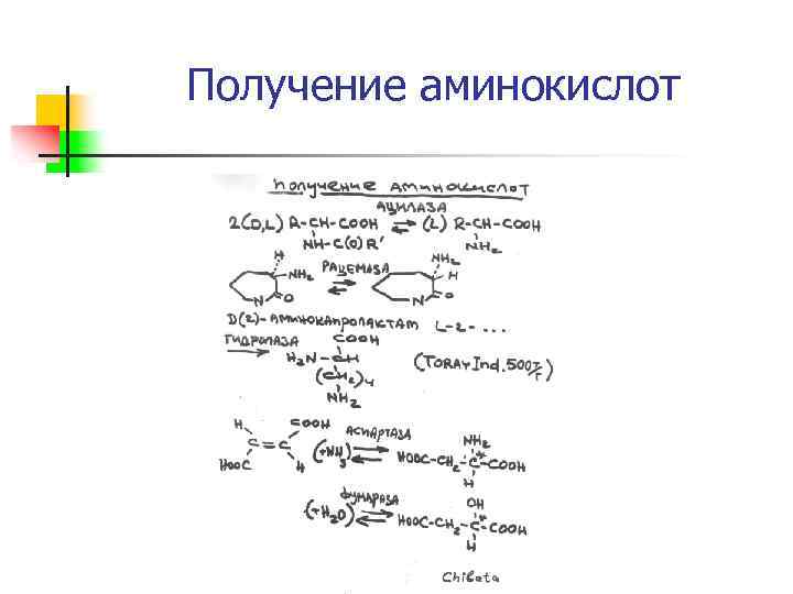 Биотехнология аминокислот презентация