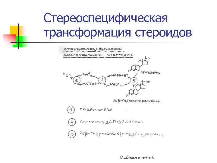 Инженерная энзимология биотехнология презентация