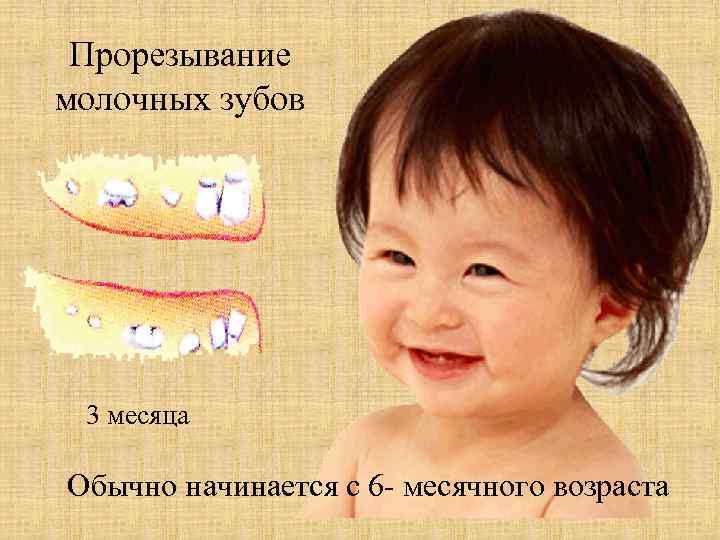 Прорезывание молочных зубов 3 месяца Обычно начинается с 6 - месячного возраста 