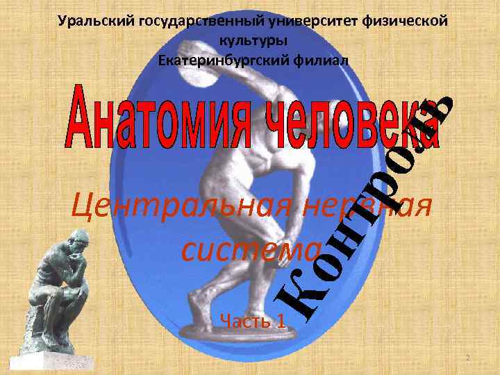 ро ль Уральский государственный университет физической культуры Екатеринбургский филиал Ко нт Центральная нервная система