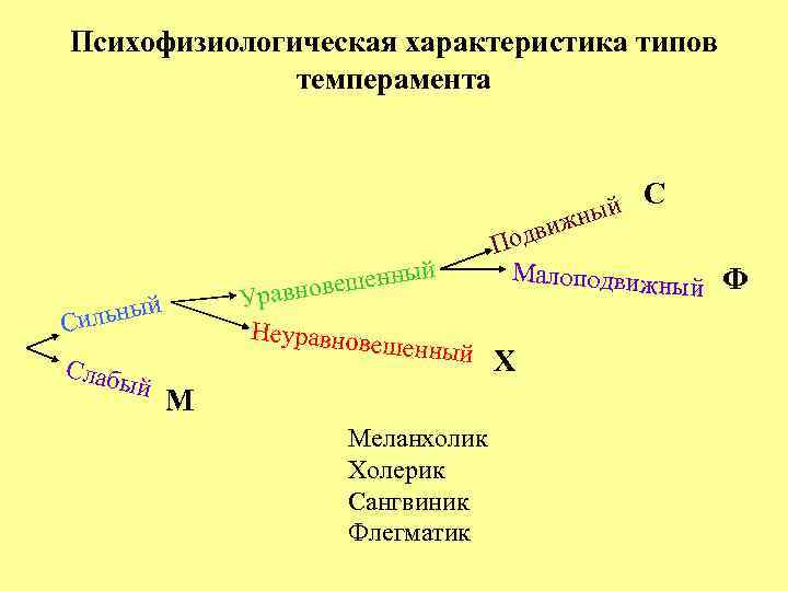 Ментальная карта темперамент