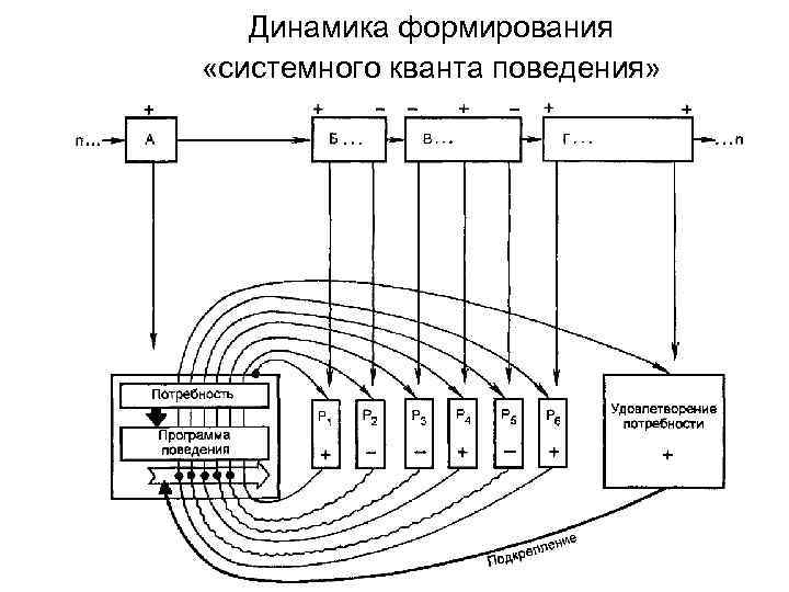 Динамика формирования «системного кванта поведения» 