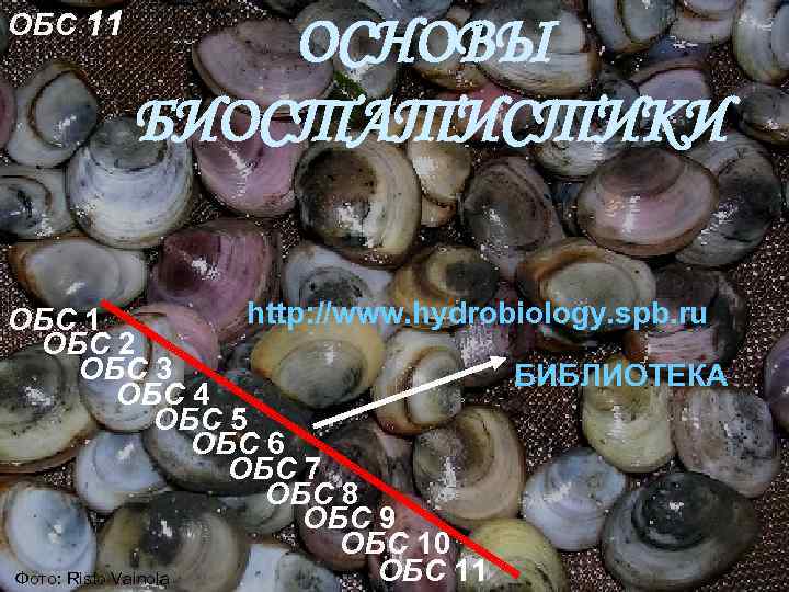 ОБС 11 ОСНОВЫ БИОСТАТИСТИКИ http: //www. hydrobiology. spb. ru ОБС 1 ОБС 2 ОБС