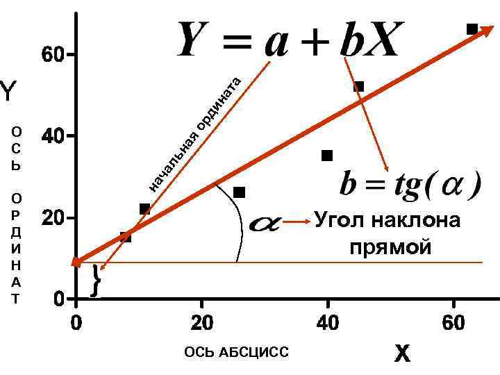 О Р Д И Н А Т а я ор ди на т X