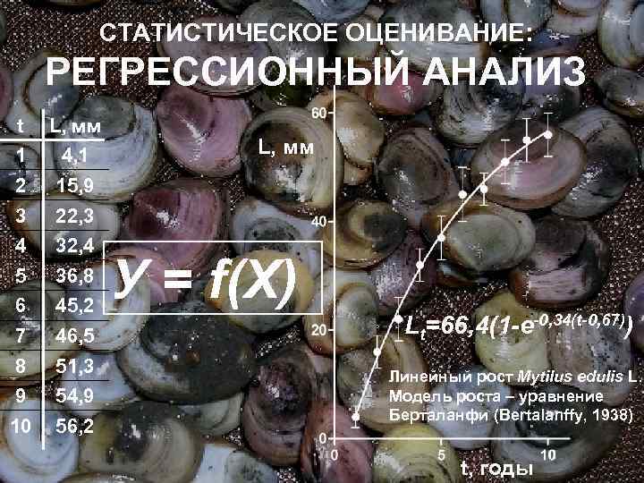 СТАТИСТИЧЕСКОЕ ОЦЕНИВАНИЕ: РЕГРЕССИОННЫЙ АНАЛИЗ t L, мм 1 4, 1 2 15, 9 3