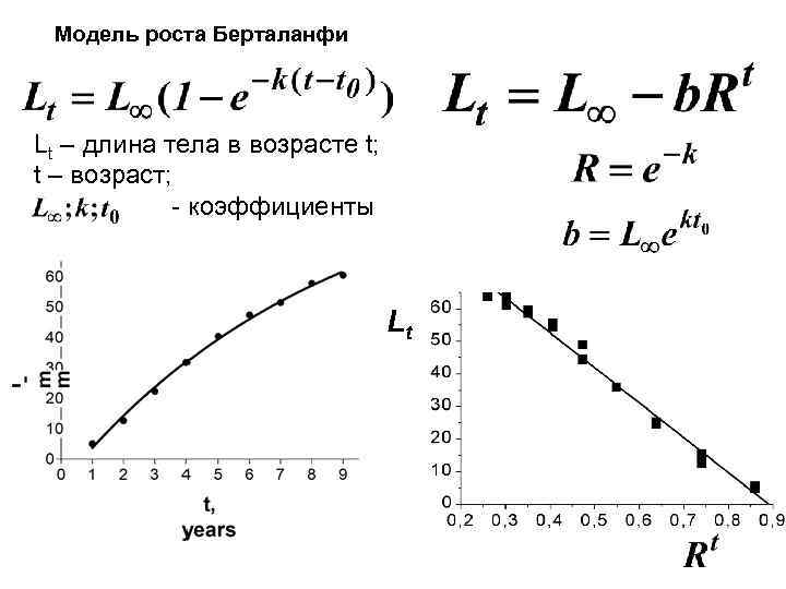 Модель роста Берталанфи Lt – длина тела в возрасте t; t – возраст; -