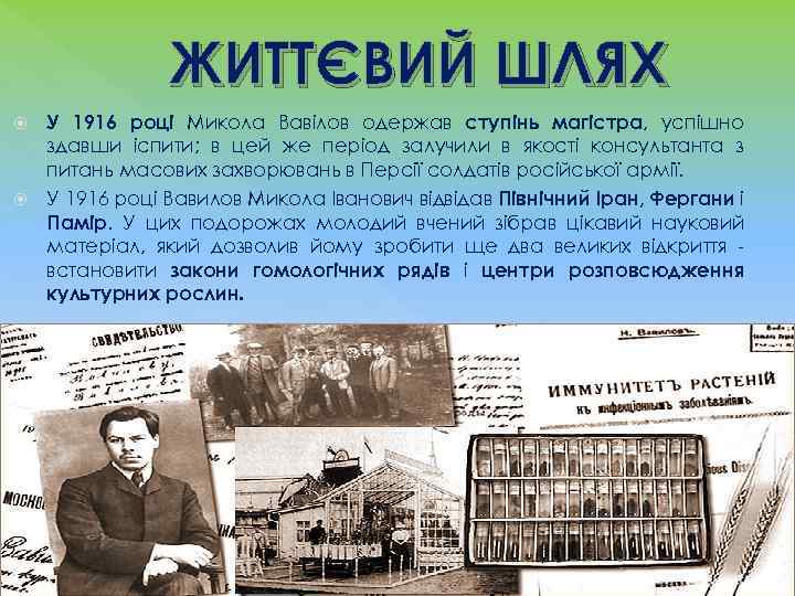 ЖИТТЄВИЙ ШЛЯХ У 1916 році Микола Вавілов одержав ступінь магістра, успішно здавши іспити; в