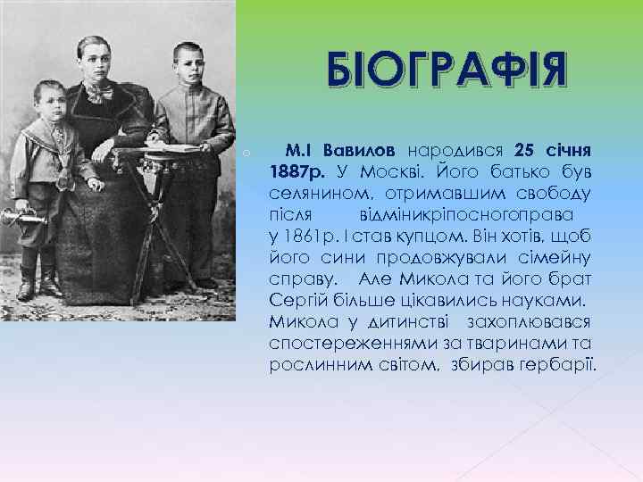 БІОГРАФІЯ o М. І Вавилов народився 25 січня 1887 р. У Москві. Його батько