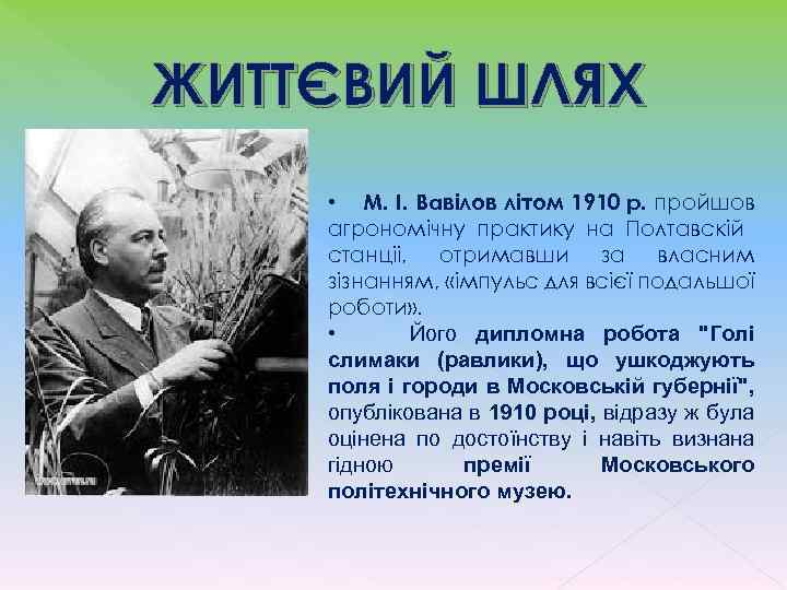 ЖИТТЄВИЙ ШЛЯХ • М. І. Вавілов літом 1910 р. пройшов агрономічну практику на Полтавскій