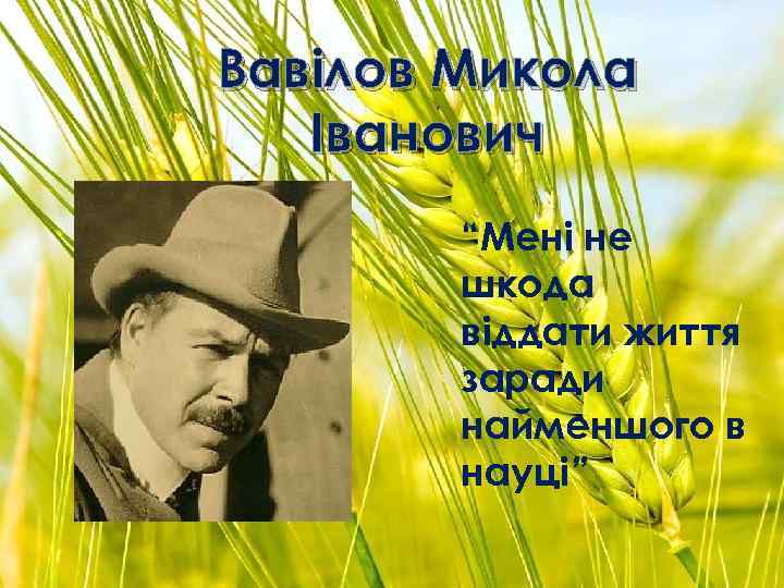 Вавілов Микола Іванович “Мені не шкода віддати життя заради найменшого в науці” 