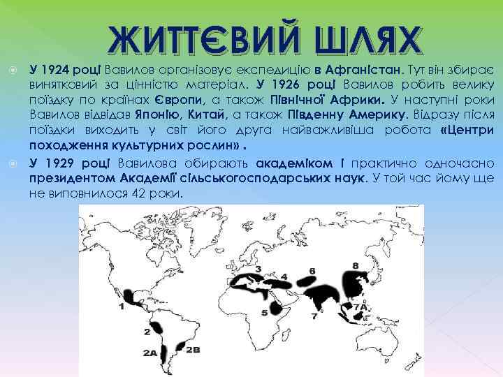  ЖИТТЄВИЙ ШЛЯХ У 1924 році Вавилов організовує експедицію в Афганістан. Тут він збирає
