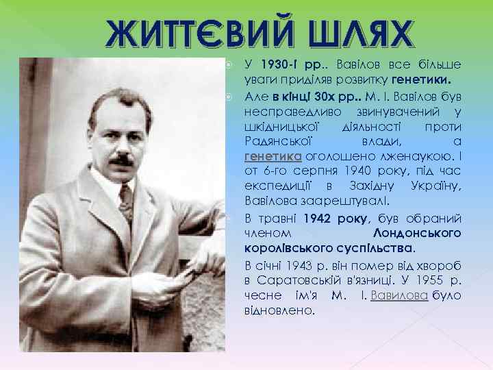 ЖИТТЄВИЙ ШЛЯХ У 1930 -і рр. . Вавілов все більше уваги приділяв розвитку генетики.