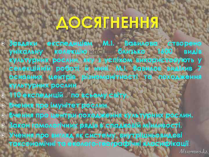  ДОСЯГНЕННЯ Завдяки експедиціям М. І. Вавилова створено унікальну колекцію насіння близько 1600 видів