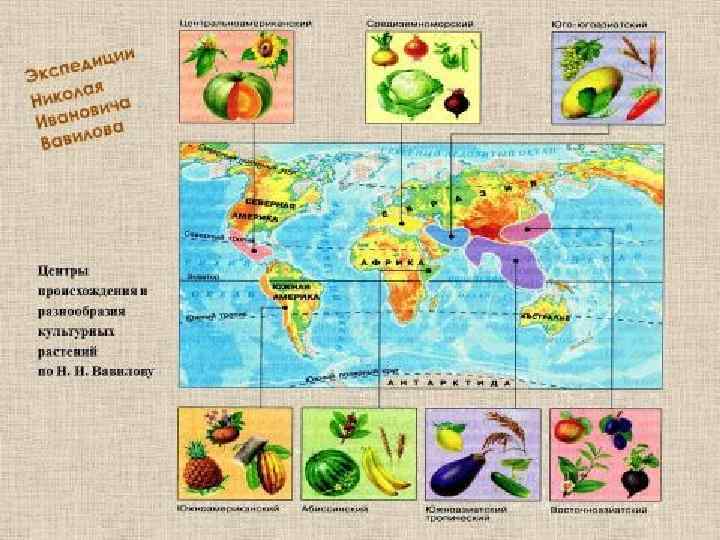 ДЯКУЮ ЗА УВАГУ! КІНЕЦЬ! 