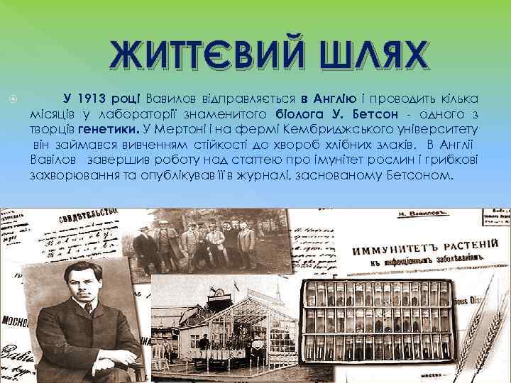  ЖИТТЄВИЙ ШЛЯХ У 1913 році Вавилов відправляється в Англію і проводить кілька місяців