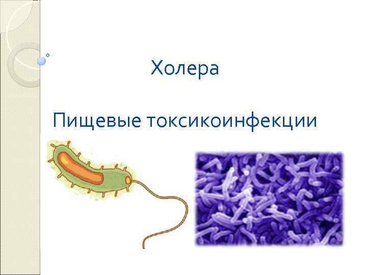 Холера Пищевые токсикоинфекции 