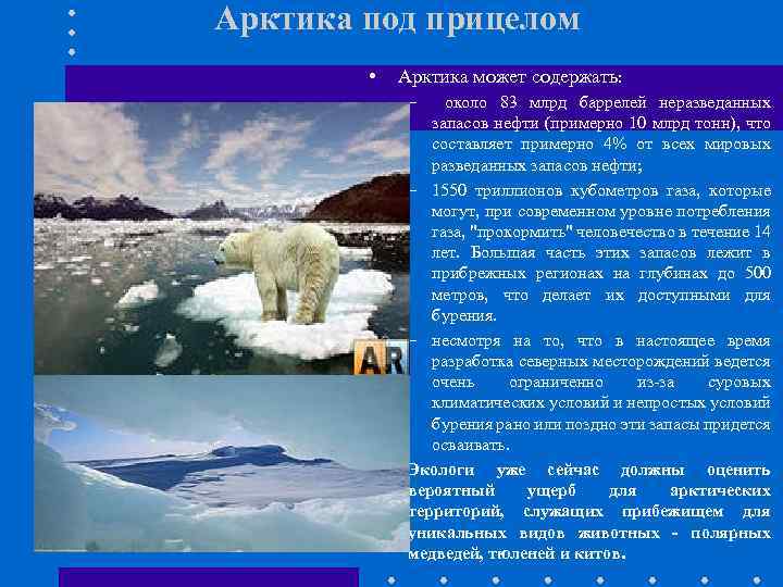 Арктика под прицелом • Арктика может содержать: – около 83 млрд баррелей неразведанных запасов