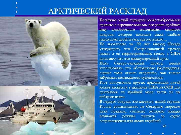 АРКТИЧЕСКИЙ РАСКЛАД Не важно, какой сценарий роста выбросов мы примем: к середине века мы