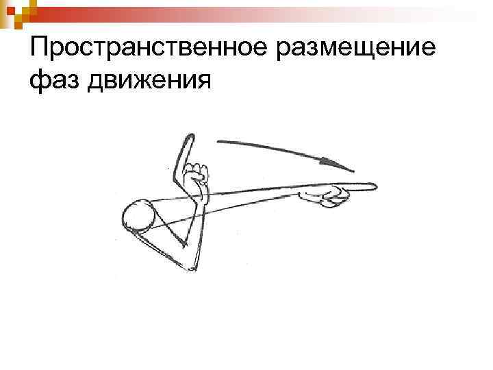 Пространственное размещение фаз движения 