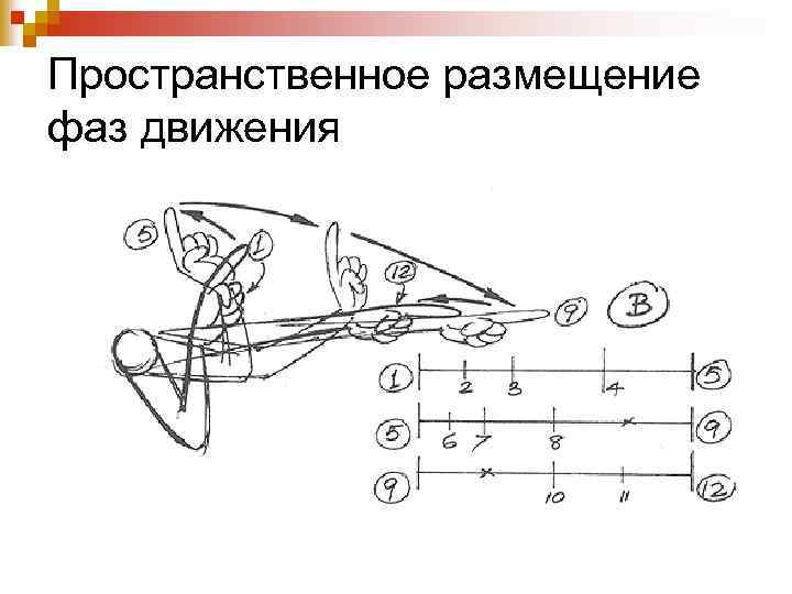 Пространственное размещение фаз движения 