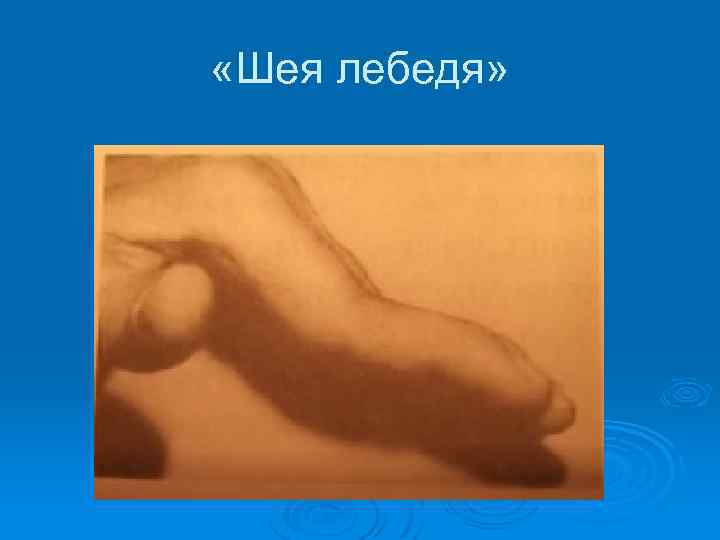  «Шея лебедя» 