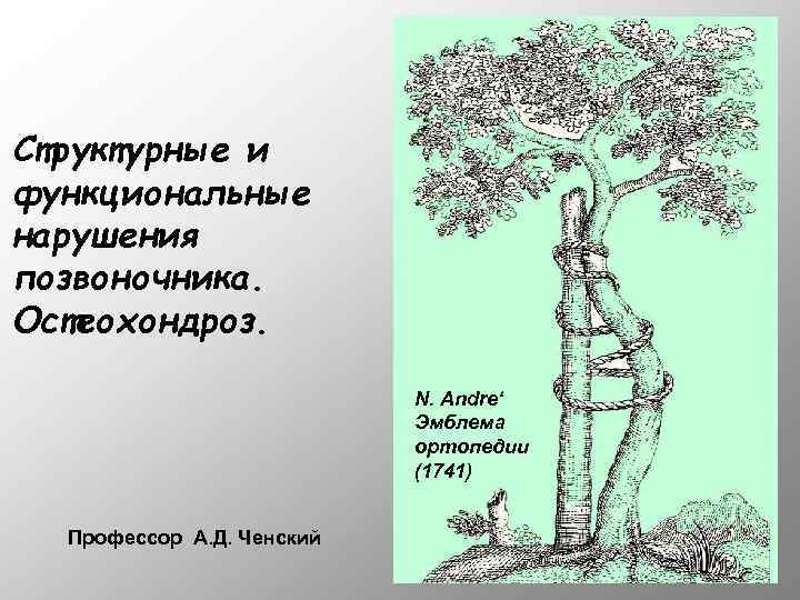 Структурные и функциональные нарушения позвоночника. Остеохондроз. N. Andre‘ Эмблема ортопедии (1741) Профессор А. Д.