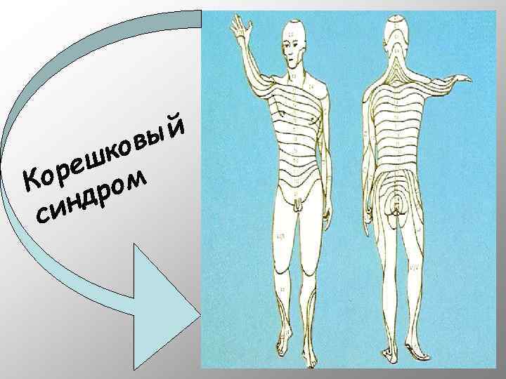 ый ов шк ре м Ко ро нд си 