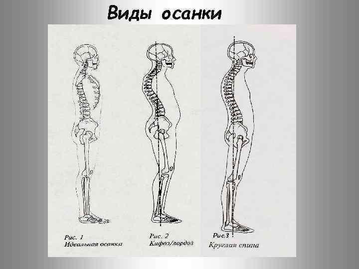 8 рассмотрите рисунки