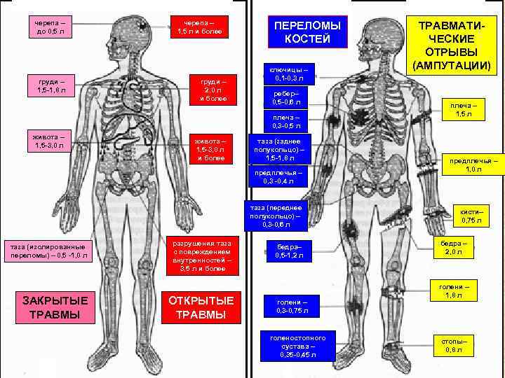 черепа – ПЕРЕЛОМЫ Ориентировочный объем 1, 5 л и более КОСТЕЙ кровопотери переломах (мл)