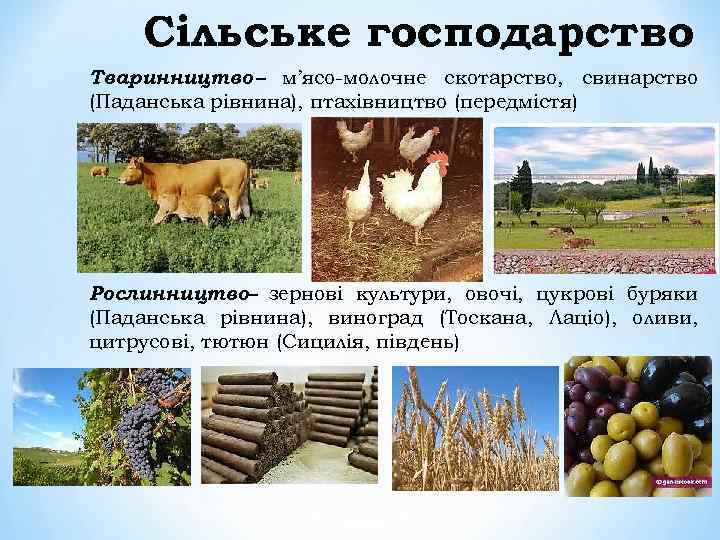 Сільське господарство Тваринництво – м’ясо-молочне скотарство, свинарство (Паданська рівнина), птахівництво (передмістя) Рослинництво– зернові культури,