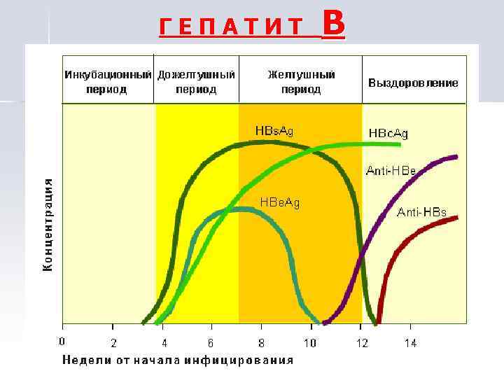 Гепатита клиническая картина