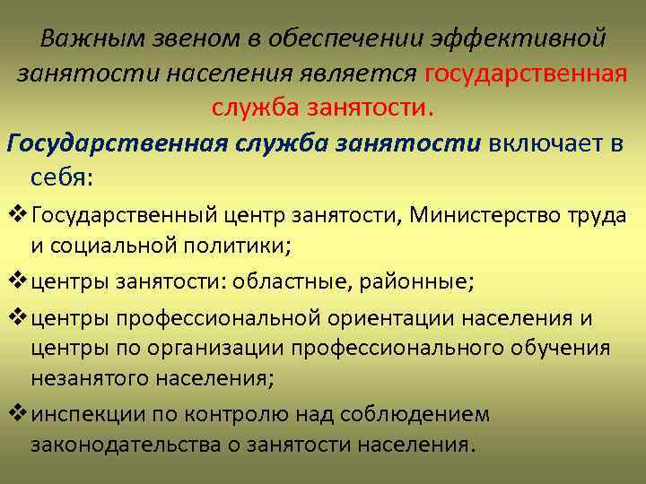 Важным звеном в обеспечении эффективной занятости населения является государственная служба занятости. Государственная служба занятости