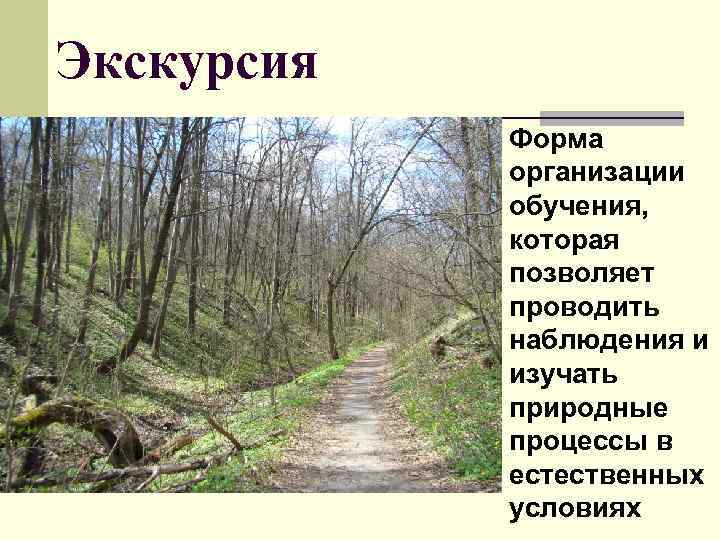 Экскурсия Форма организации обучения, которая позволяет проводить наблюдения и изучать природные процессы в естественных