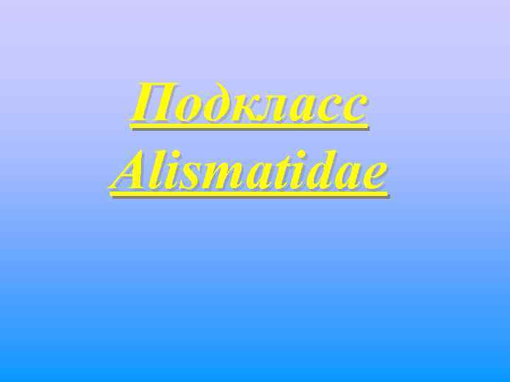  Подкласс Alismatidae 