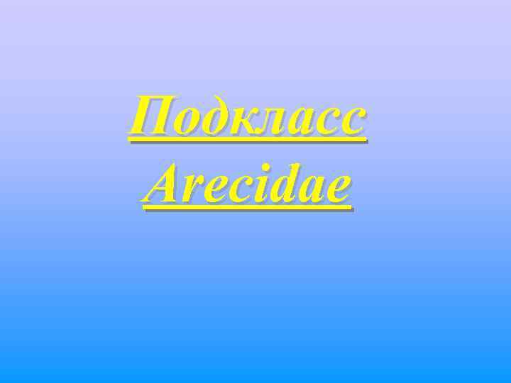 Подкласс Arecidae 