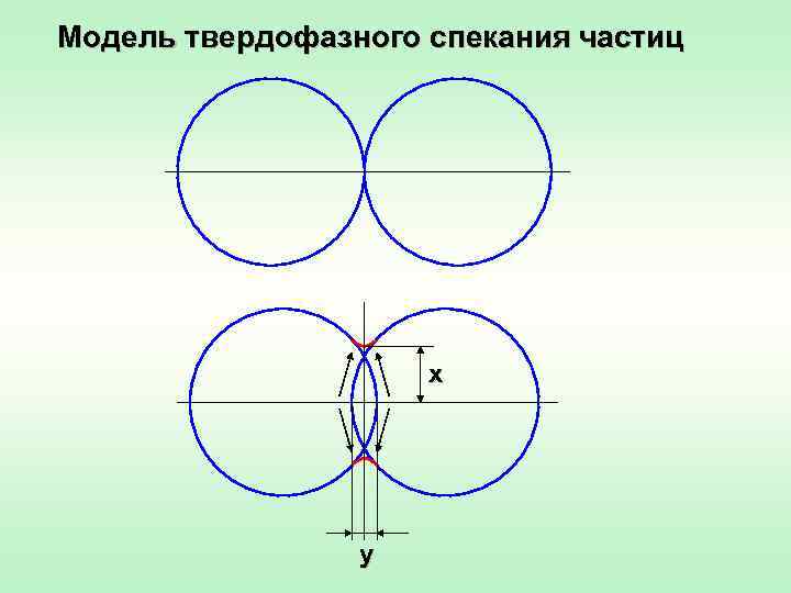 Модель твердофазного спекания частиц x y 
