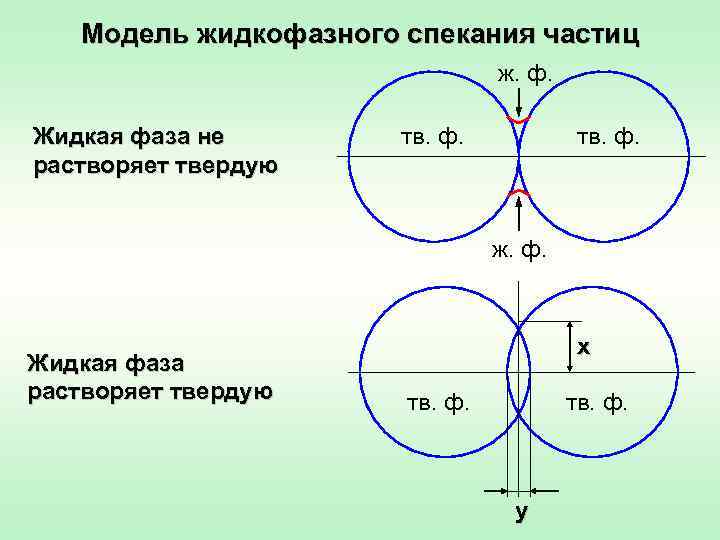 Модель жидкофазного спекания частиц ж. ф. Жидкая фаза не растворяет твердую тв. ф. ж.