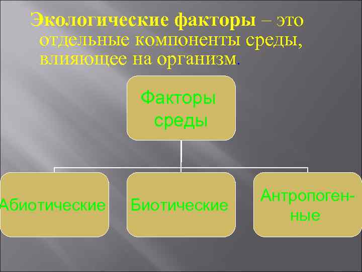 Схема биотических факторов