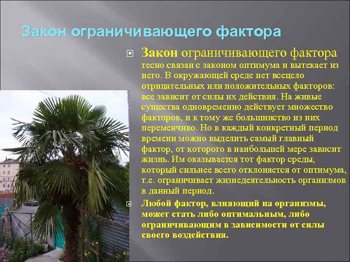 Закон ограничивающего фактора тесно связан с законом оптимума и вытекает из него. В окружающей