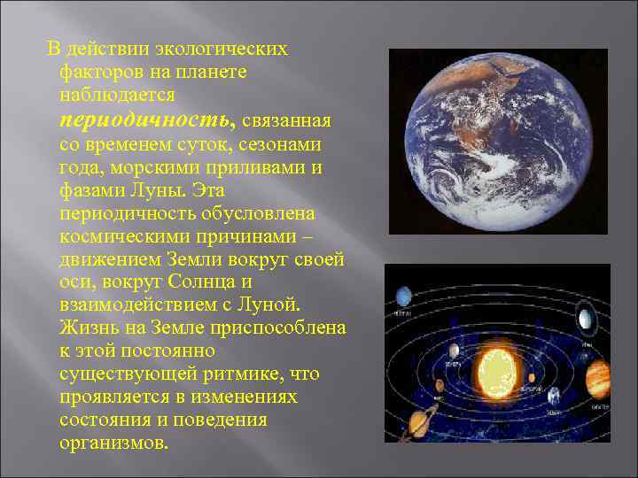 В действии экологических факторов на планете наблюдается периодичность, связанная со временем суток, сезонами года,