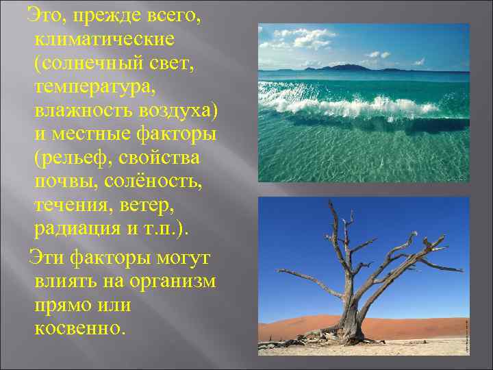 Какими условиями среды. Рельеф климат почва воздух абиотические факторы. Рельеф климат почва воздух относятся к. Рельеф климат почва воздух относятся к каким факторам. Рельеф , климат, почва , свет , воздух относятся к.