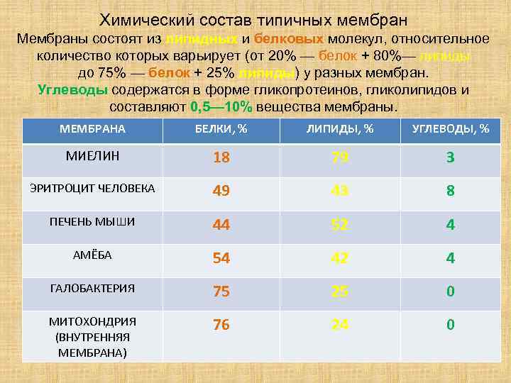 Химический состав типичных мембран Мембраны состоят из липидных и белковых молекул, относительное количество которых