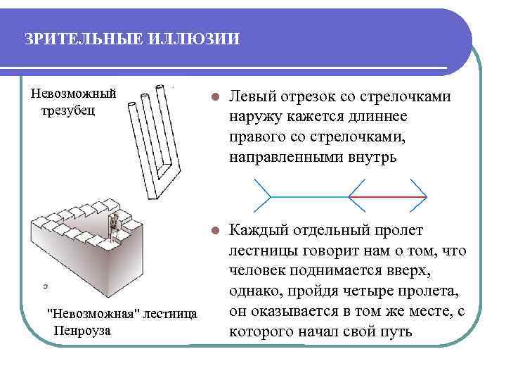 ЗРИТЕЛЬНЫЕ ИЛЛЮЗИИ Невозможный трезубец Левый отрезок со стрелочками наружу кажется длиннее правого со стрелочками,