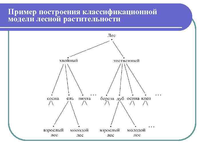 Пример построения классификационной модели лесной растительности 