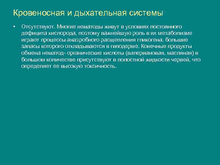 Кровеносная и дыхательная системы • Отсутствуют. Многие нематоды живут в условиях постоянного дефицита кислорода,