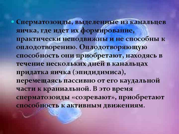  Сперматозоиды, выделенные из канальцев яичка, где идет их формирование, практически неподвижны и не