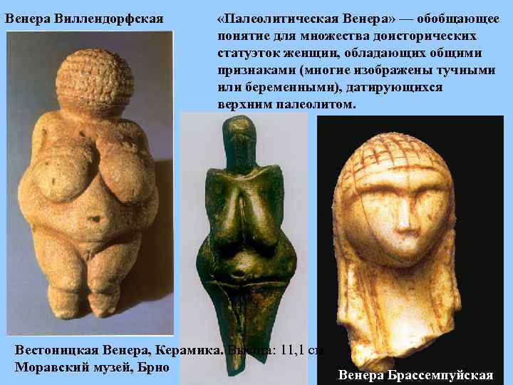 Венера Виллендорфская «Палеолитическая Венера» — обобщающее понятие для множества доисторических статуэток женщин, обладающих общими